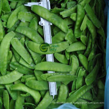 Supply Frozen Pea Pods for Wholesale